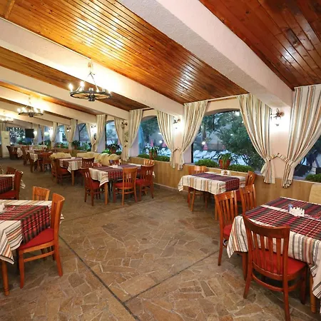 Hotel Edi 3*